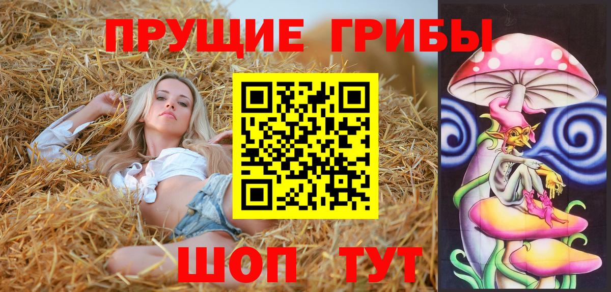 Истра  Галлюциногенные грибы Psilocybe  Вход с VPN 