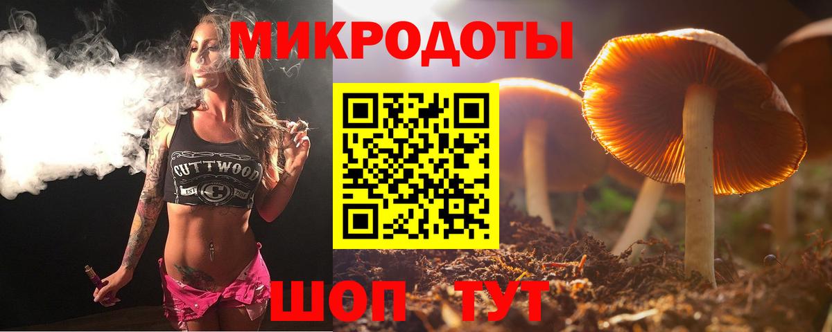 Галлюциногенные грибы Magic Shrooms Истра